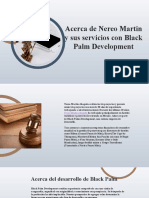 Acerca de Nereo Martin y Sus Servicios Con Black Palm Development