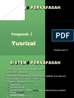 Sistem Pernafasan