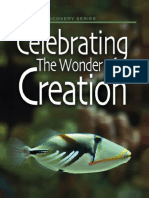 Celebrating The Wonder of Creation