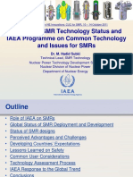 IAEA Forum on SMR Technology and Deployment