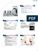 Metabolismo Lipidos