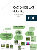 CLASIFICACIÓN DE LAS PLANTAS Jesus Barrios