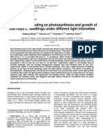 Zea Mays L. Seedlings Under Different Light Intensities: Effects of Soil Flooding On Photosynthesis and Growth of