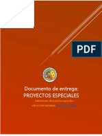 Documento de Entrega