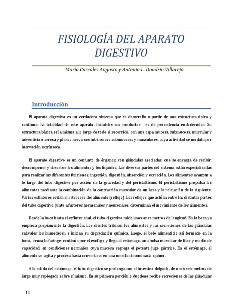 Fisiología Del Aparato Digestivo Pdf Digestión Sistema Digestivo