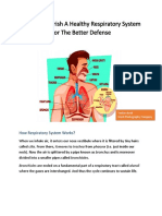 How To Flourish A Healthy Respiratory System For The Better Defense