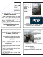 Folleto Procedimiento Ps P 02