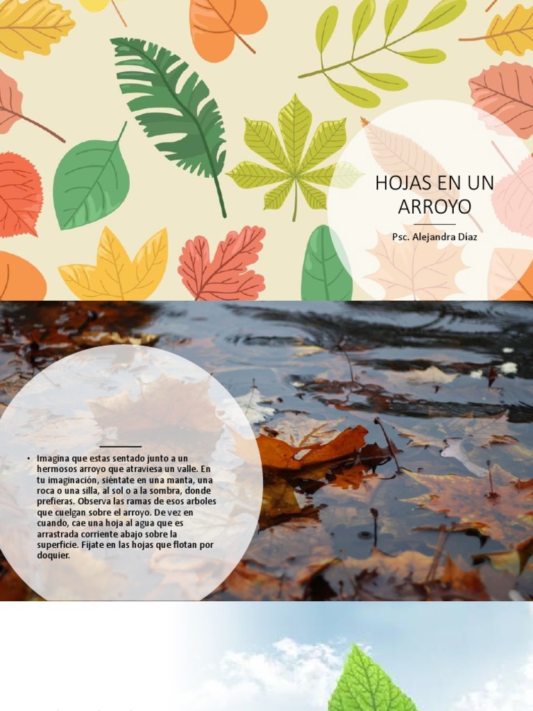Hojas en Un Arroyo PDF