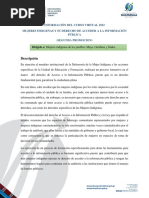 planificación de curso Mujeres indígenas y su acceso a la información publica