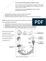 Resumen Agentes Causales Fitopatogenos