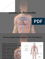 Sistema Cardiovascular