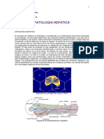 Patologia Hepatica