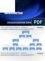 Modelo de Organograma - Brmalls