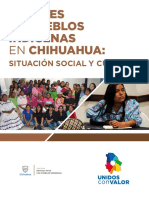 MUJERES DE PUEBLOS INDÍGENAS EN CHIHUAHUA: SITUACIÓN SOCIAL Y CULTURAL - Mariana Villarreal
