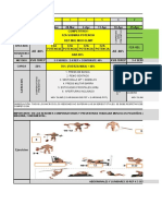 Periodo Competitivo I y II 2022