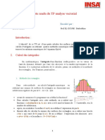 Rapport Du TP Analyse Vectoriel