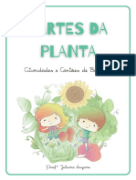 CAA Partes Da Planta