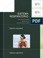 Sistema Respiratório