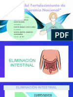 Eliminación Intestinal