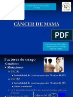 Factores de riesgo y estrategias en cáncer de mama