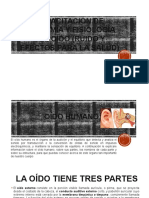 Cap Anatomia y Fisiologia Del Oido