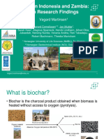 Biochar in Indonesia and Zambia: Main Research Findings: Vegard Martinsen