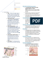 Burns: A. Skin Layer and Body Surface