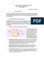 Folículos primordiales, ovulación y fertilidad