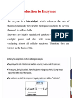 Introduction To Enzymes