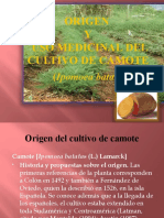 HISTORIA DEL CAMOTE