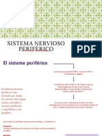 3.1 Sistema Nervioso Periférico