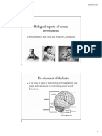 4-Brain and Sensory Development