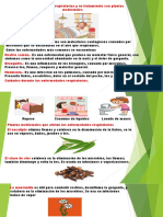 Las Enfermedades Respiratorias Con Plantas Medicinales