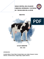 Mastitis Bovina 