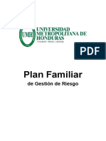 Plan Familiar de Gestión