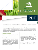 Ficha Banano Version II
