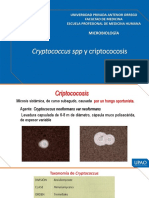 012d Cryptococcus