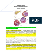 Farmacología - Endocrino II (Insulina y Antidiabéticos)