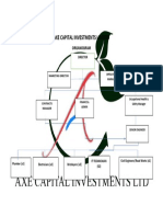 Axe Capital Investments Limited: Organogram