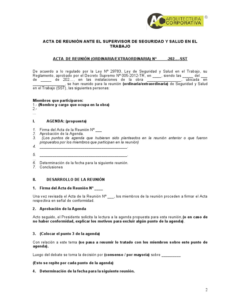 Acta Reunión Seguridad y Salud Laboral | PDF | Gobierno