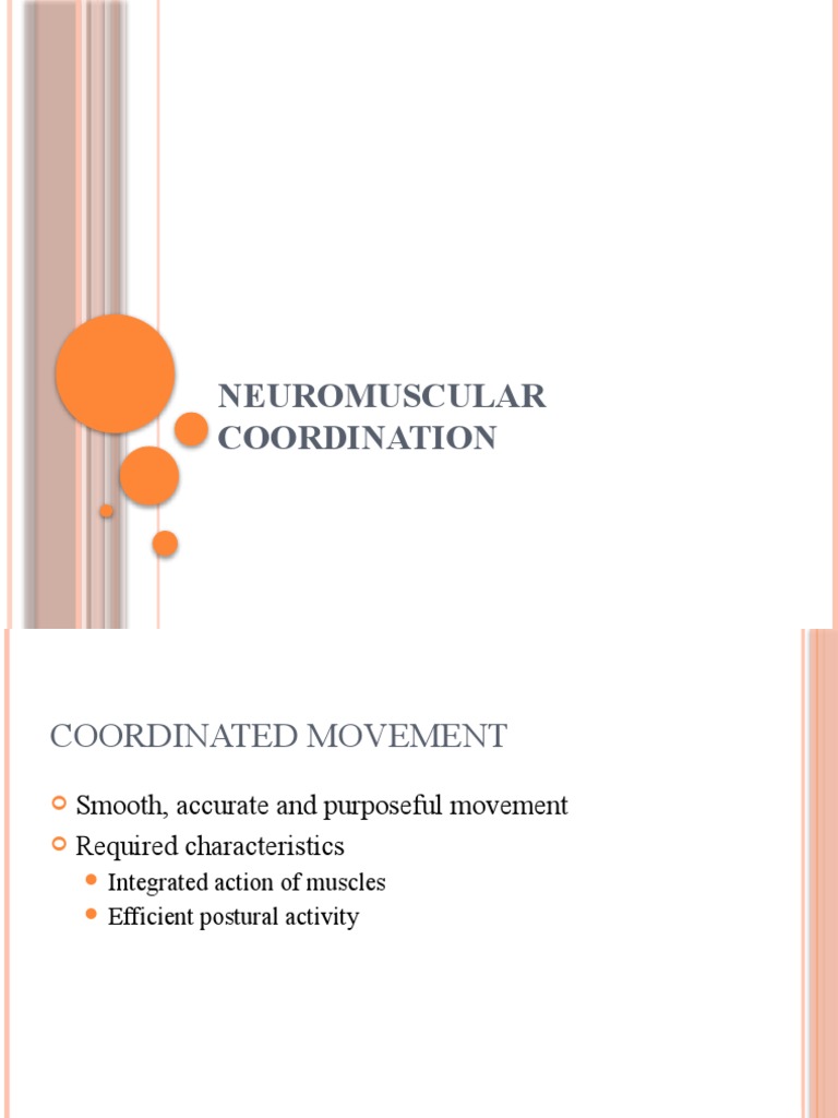 Neuromuscular Coordination I PDF Skeletal Muscle Cerebellum