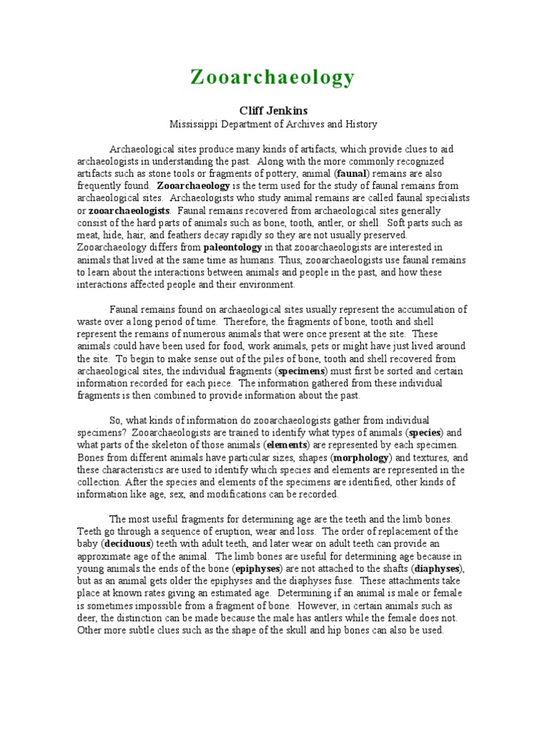 Jenkins Zoo Archaeology Introduction PDF Archaeology Hunting