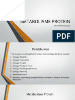 Metabolisme Protein 22