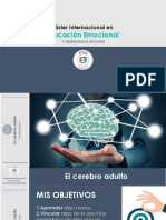 El Cerebro Del Adulto I 1