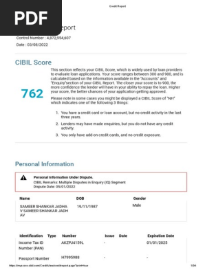 Credit Report