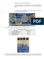 Prueba de Efectividad de Sanitizante