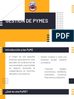 Pymes Temas1 2 3
