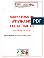 ATIVIDADES DE SINDROME DE DOWN PDF
