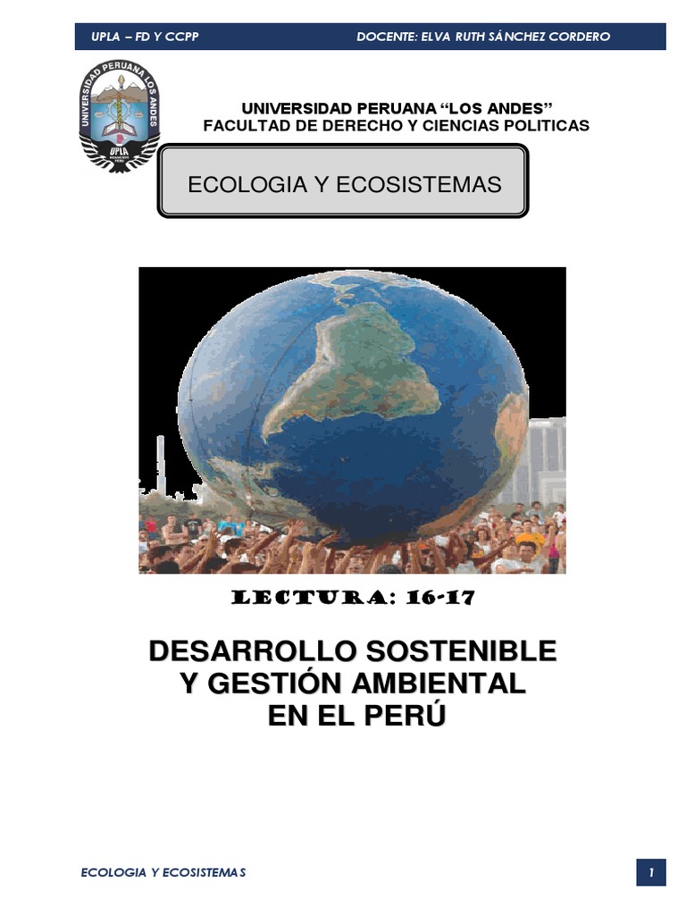 Desarrollo Sostenible y Gestión Ambiental | PDF | Sustentabilidad ...