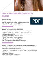 Curso de Péndulo Terapéutico y Predictivo (Grabado)